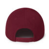 Hat Snapback Unisex - Venezuela Pride - Image 13